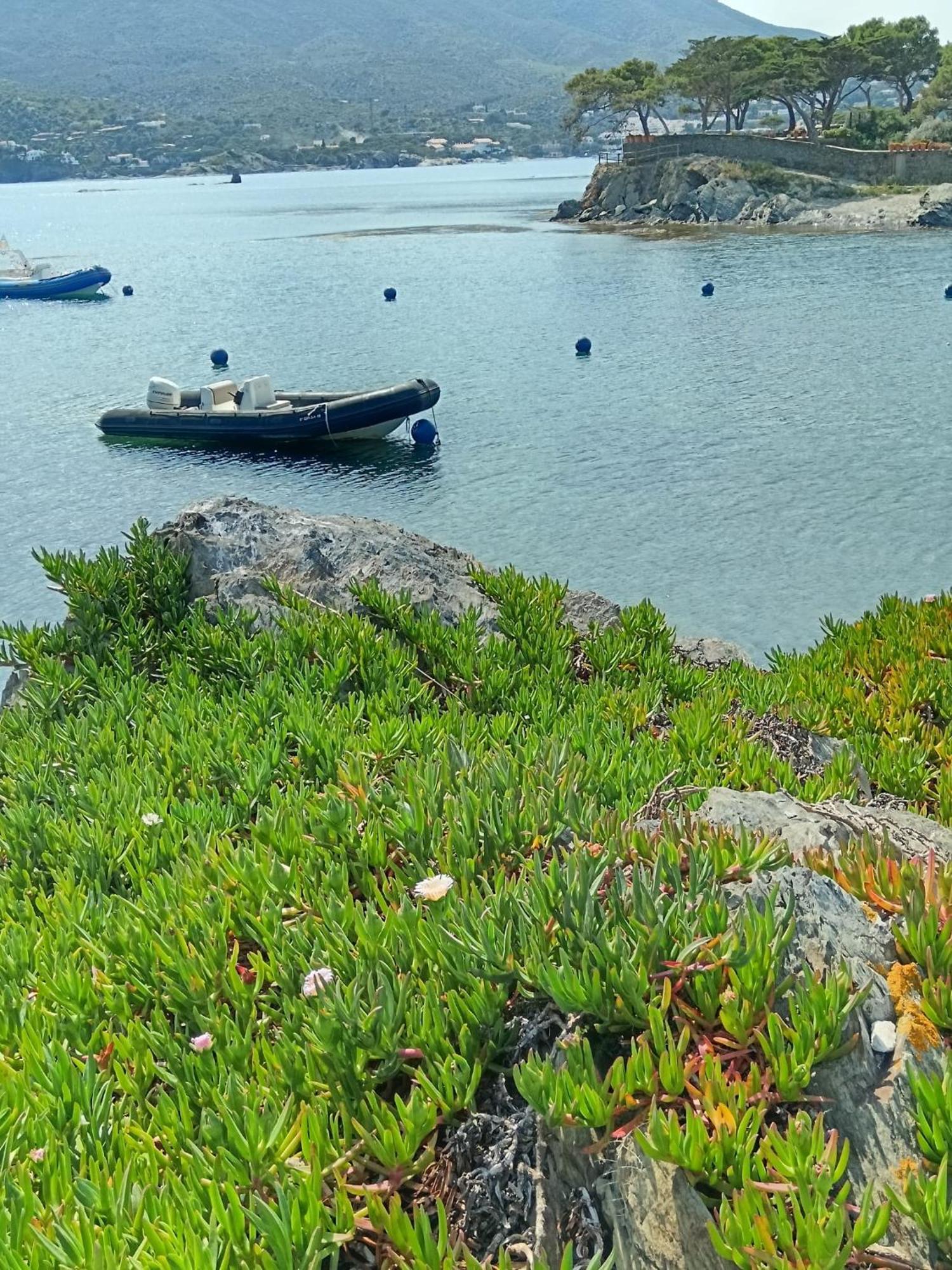 Isla Privada En Cadaques De Ensueno Con 11 Habitaciones Dobles Con Bano Privado Y Piscina Ngoại thất bức ảnh