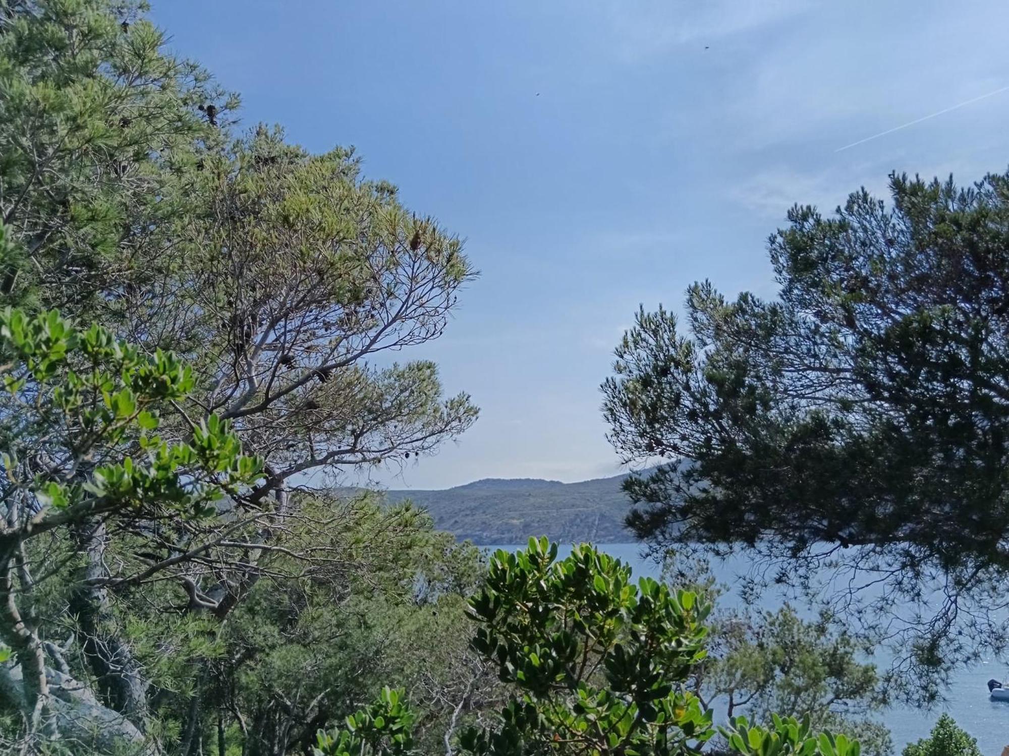 Isla Privada En Cadaques De Ensueno Con 11 Habitaciones Dobles Con Bano Privado Y Piscina Ngoại thất bức ảnh